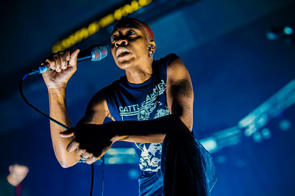 The None – Castle &&nbsp;Falcon